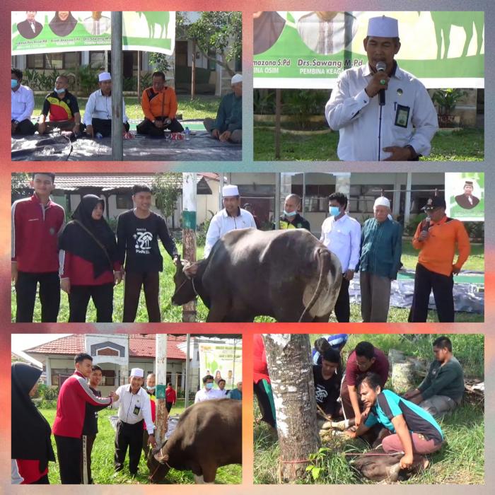 MAN 2 Kota Jambi Selenggarakan Kurban Tarbawi Guna Mencetak Generasi Berakhlak Mulia
