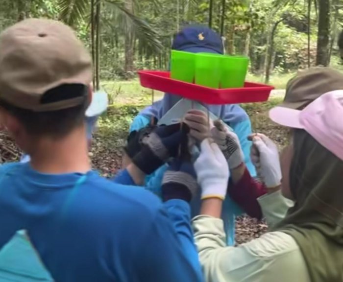Kekompakan dan Kolaborasi Warnai Kegiatan Kelompok LDK OSIM MAN 2 Kota Jambi di Hutan Kota Muhammad Sabki
