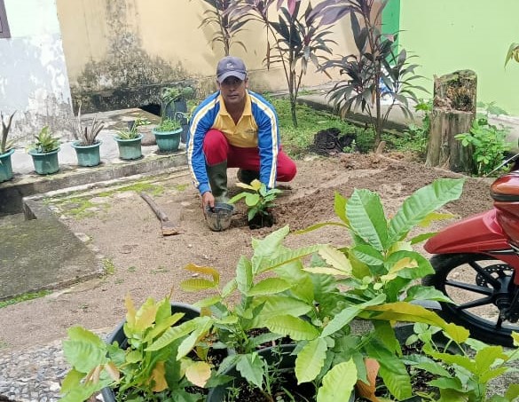 MAN 2 Kota Jambi Hijaukan Lingkungan, Wujudkan Kurikulum Berbasis Cinta Lewat Penanaman Pohon Buah